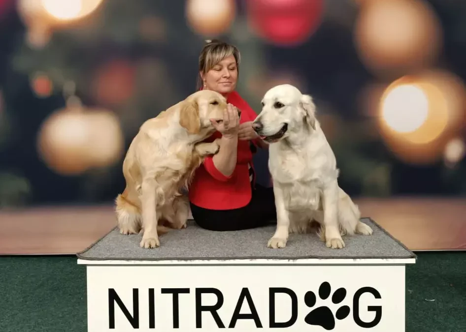 NITRA Christmas Cup