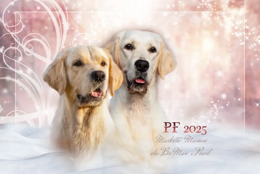 PF 2025
