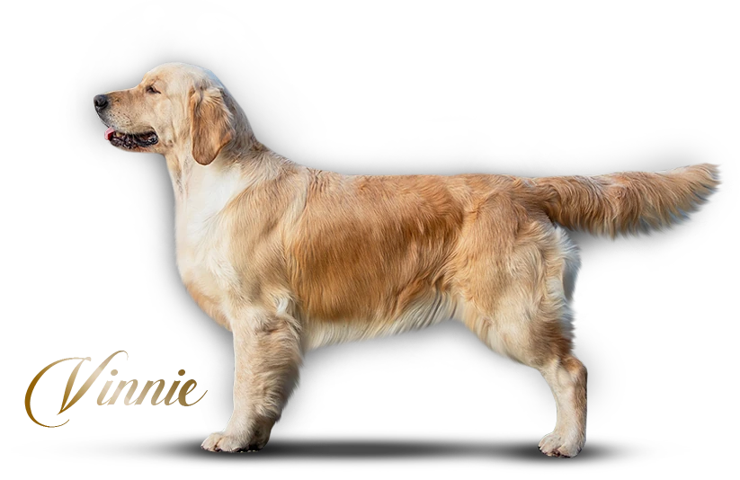 tl_winnie