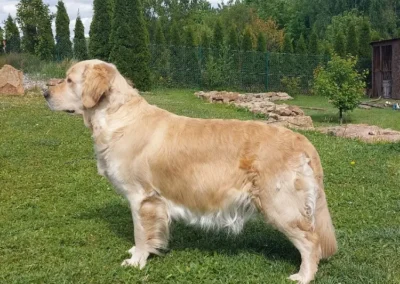 Vinuška den 53
