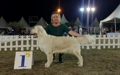 Eiwa je ŠAMPION SLOVENIJE